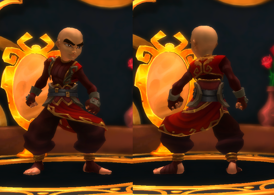 Dragonfall Monk Front and Back.png