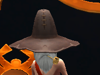 Wise Wizard Hat Ingame.png