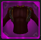 Monk's Dragonfall Vest Icon.png